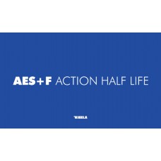 KOSTIČ A., DOBRILA P. T. (UR.)-AES+F ACTION HALF LIFE: (2003-2005) (katalog razstave)