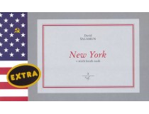 NEW YORK V ŠTIRIH LETNIH ČASIH